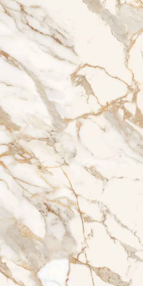 ROYAL CALCATTA GOLD view 6